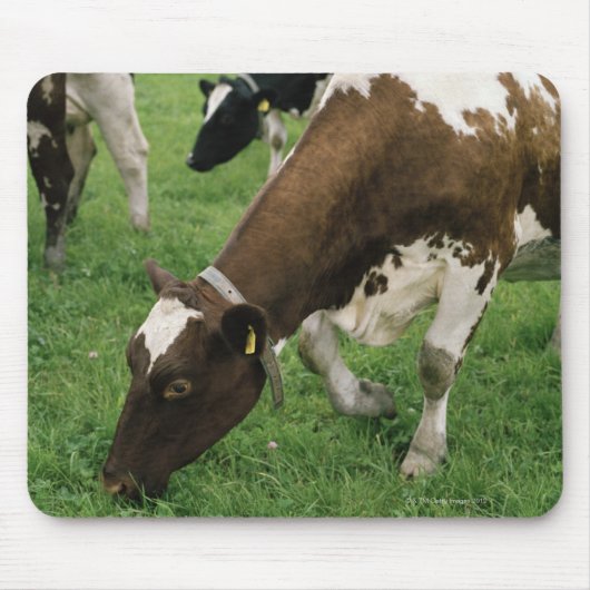 ima28991 マウスパッド (正面)