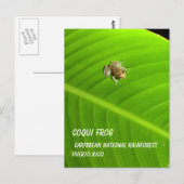 IMAG0274.jpg、Coqui Frog、カリブのNational Ra... ポストカード (正面/裏面)