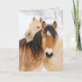 "Image and Ember" – グリーティングカード