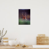 Image of a colorful spider in web ポスター (キッチン)