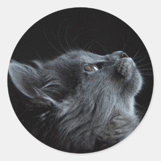 imagem que combina com qualquer escolha de colagem ラウンドシール