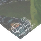 Imagen de mi obra arte La roca テーブルクロス (アングル)