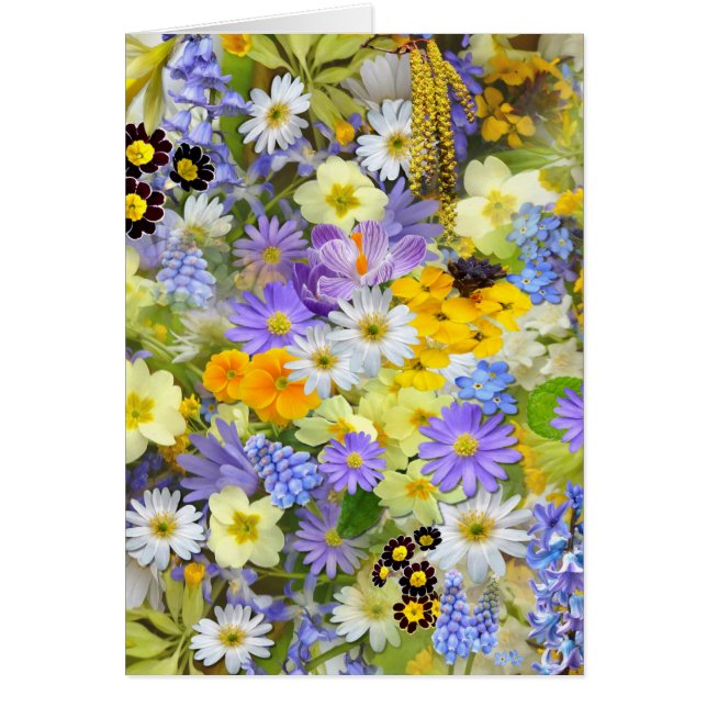 imagens com flores (正面)