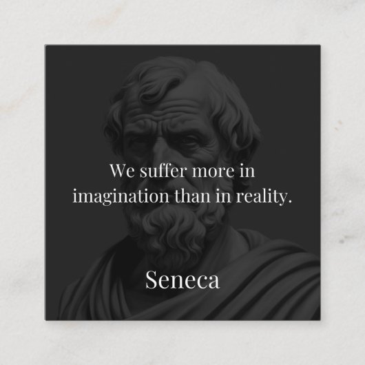 Imagination and Suffering: Seneca on Perception エンクロージャーカード (正面)