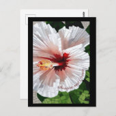 Imagine and Create Mosaic Flower Postcard ポストカード (正面/裏面)