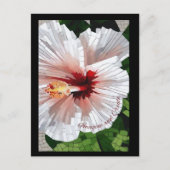 Imagine and Create Mosaic Flower Postcard ポストカード (正面)