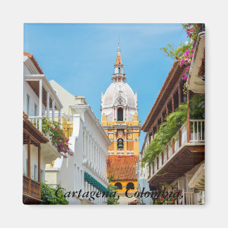 Imán, Cartagena de Indias, Colombia マグネット