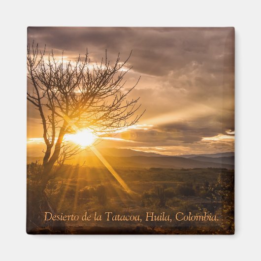 Imán, Desierto de la Tatacoa, Colombia マグネット (正面)