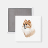 Imán ilustración perro pomerania マグネット (正面/裏面)