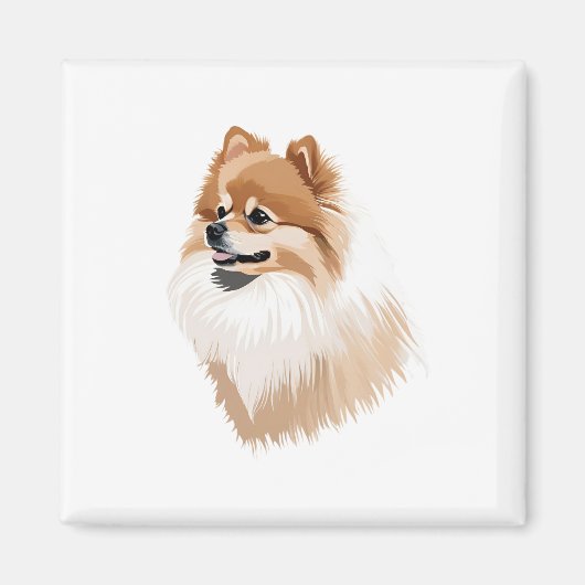 Imán ilustración perro pomerania マグネット (正面)