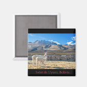 Imán, Llamas Salar de Uyuni, Bolivia マグネット (正面/裏面)