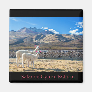 Imán, Llamas Salar de Uyuni, Bolivia マグネット