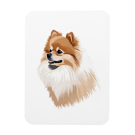 Imán nevera perro pomerania マグネット (縦)