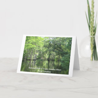 Img_0027、野良風光明媚な木材川N... カード