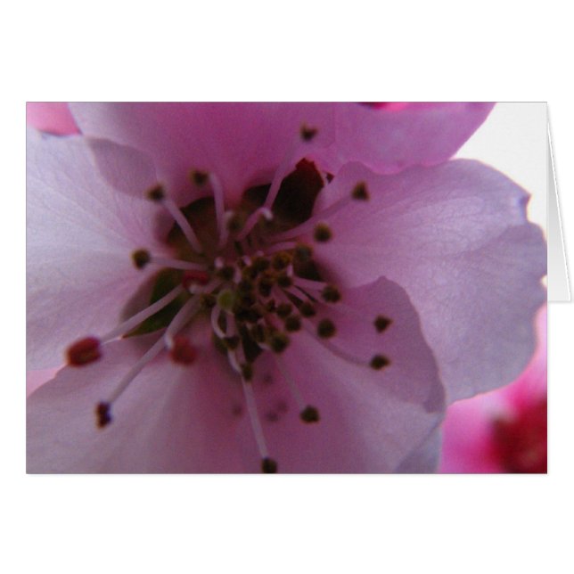 IMG_0037_3 (正面横)