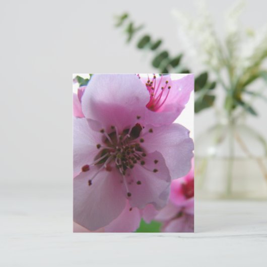 IMG_0037_3 ポストカード (スタンド正面)