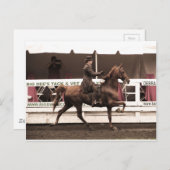 IMG_0065コピー ポストカード (正面/裏面)