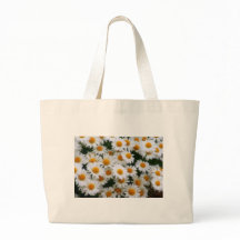 IMG_0066デイジーの恋人