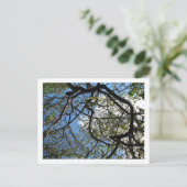 IMG_0078 ポストカード (スタンド正面)