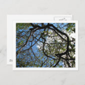 IMG_0078 ポストカード (正面/裏面)