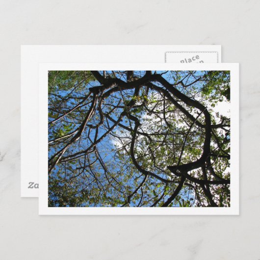 IMG_0078 ポストカード (正面/裏面)