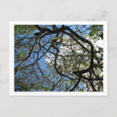 IMG_0078 ポストカード (正面)