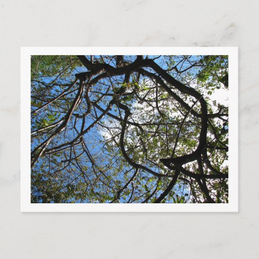 IMG_0078 ポストカード (正面)