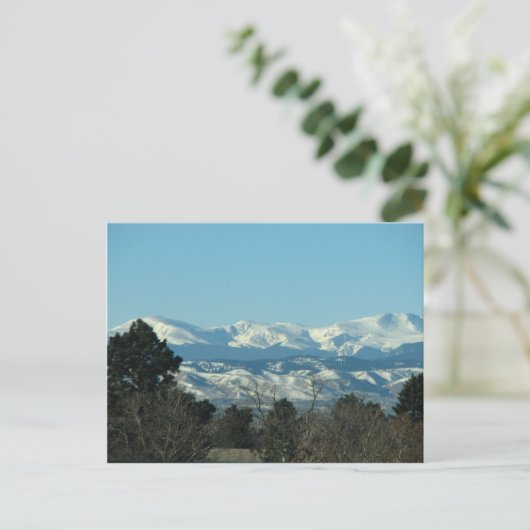 IMG_0258 ポストカード (スタンド正面)