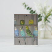 IMG_0348 ポストカード (スタンド正面)