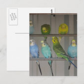 IMG_0348 ポストカード (正面/裏面)