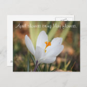 IMG_0371、4月のシャワーは5月の花を持ってくる。 ポストカード (正面/裏面)