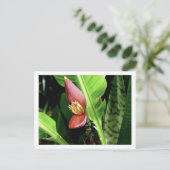 IMG_0432 ポストカード (スタンド正面)