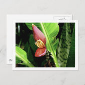 IMG_0432 ポストカード (正面/裏面)