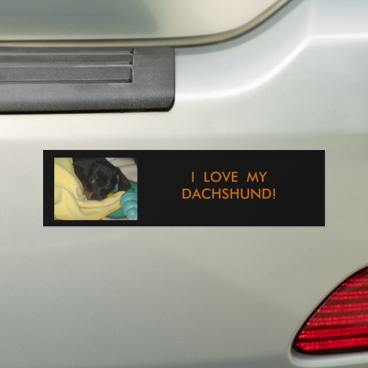 IMG_0456、私は私のダックスフントを愛します! バンパーステッカー (車上)