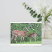 IMG_0494_1 ポストカード (スタンド正面)