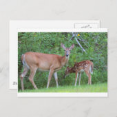 IMG_0494_1 ポストカード (正面/裏面)