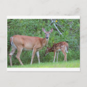 IMG_0494_1 ポストカード (正面)