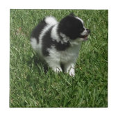 IMG_0545.JPG タイル (正面)