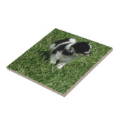 IMG_0545.JPG タイル (側面)