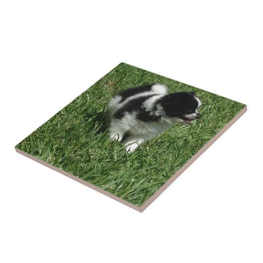 IMG_0545.JPG タイル (側面)