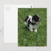 IMG_0545.JPG ポストカード (正面/裏面)