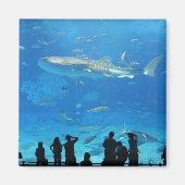 IMG_0598 マグネット (正面)