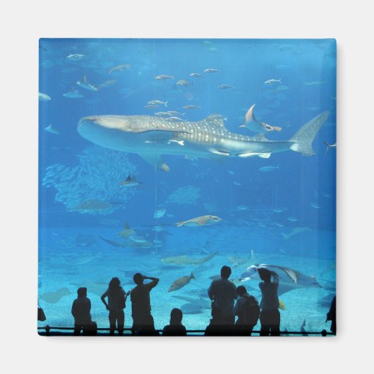 IMG_0598 マグネット (正面)