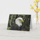 IMG_0673-eagle_5x7 カード (黄色い花)