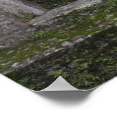 IMG_0730 ポスター (角)