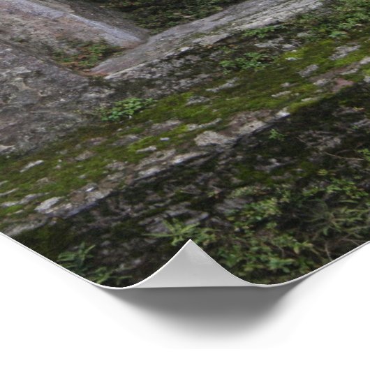 IMG_0730 ポスター (角)