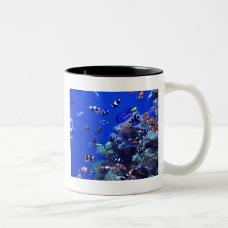 IMG_0829 ツートーンマグカップ