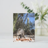 IMG_0830、アリゾナ ポストカード (スタンド正面)