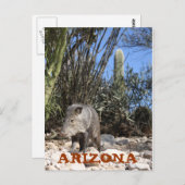 IMG_0830、アリゾナ ポストカード (正面/裏面)