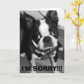 IMG_0932、申し訳ございません!! カード (黄色い花)